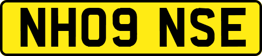 NH09NSE