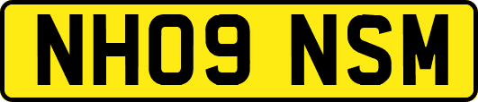NH09NSM