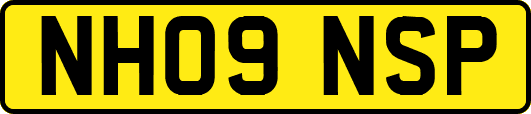 NH09NSP