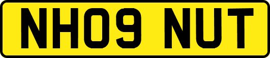 NH09NUT