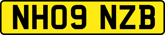 NH09NZB