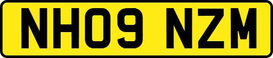NH09NZM