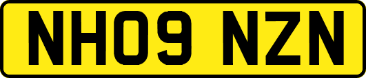 NH09NZN