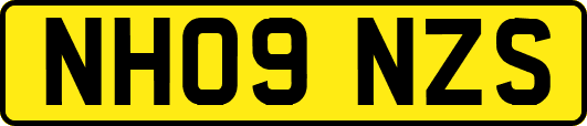 NH09NZS