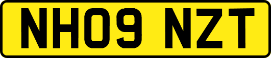 NH09NZT