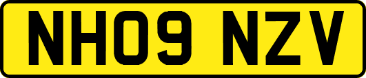 NH09NZV