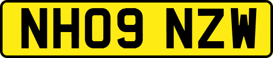 NH09NZW