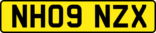 NH09NZX