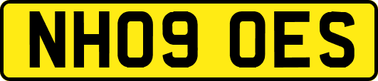 NH09OES