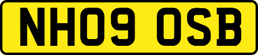 NH09OSB