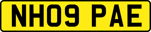 NH09PAE