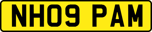 NH09PAM