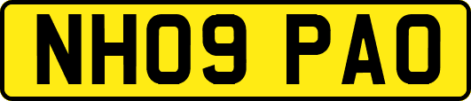 NH09PAO