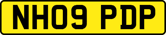 NH09PDP
