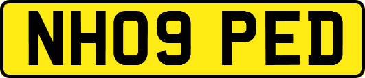 NH09PED