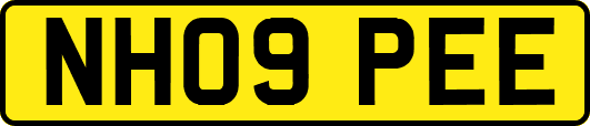 NH09PEE