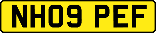NH09PEF