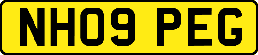 NH09PEG