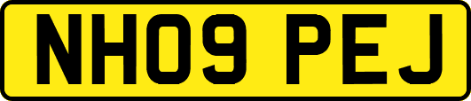 NH09PEJ