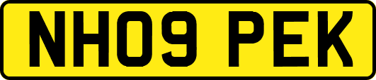NH09PEK