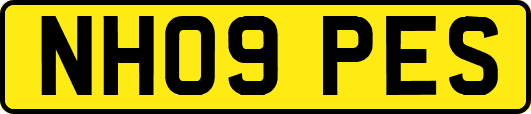 NH09PES