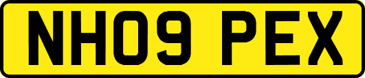 NH09PEX
