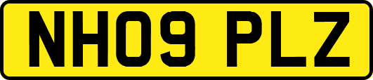NH09PLZ