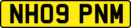 NH09PNM