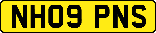 NH09PNS