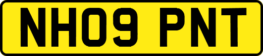 NH09PNT