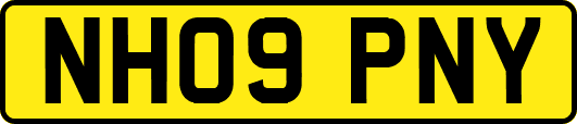 NH09PNY
