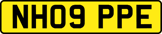 NH09PPE