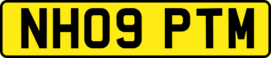 NH09PTM