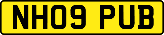 NH09PUB