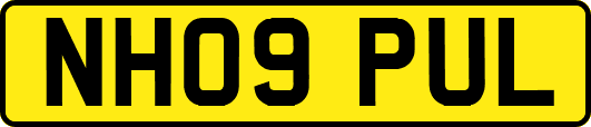 NH09PUL