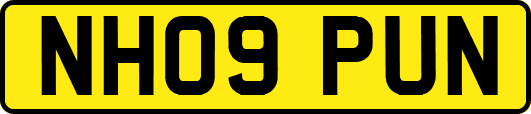 NH09PUN