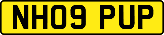 NH09PUP