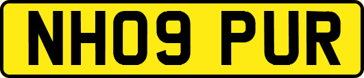 NH09PUR