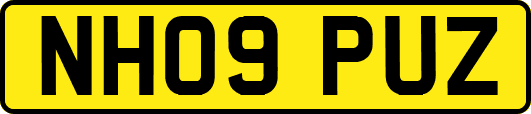 NH09PUZ