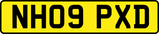 NH09PXD