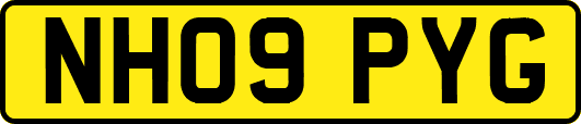 NH09PYG