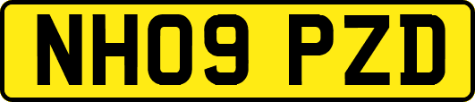 NH09PZD