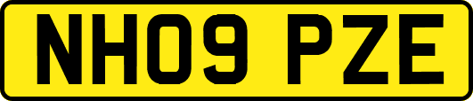 NH09PZE