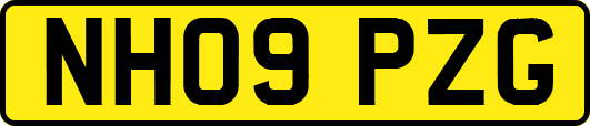 NH09PZG