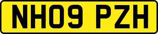 NH09PZH