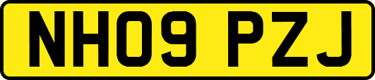 NH09PZJ