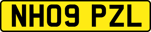 NH09PZL