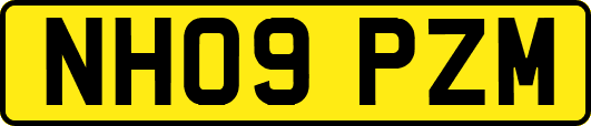 NH09PZM