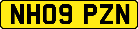 NH09PZN