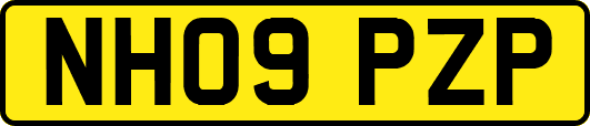 NH09PZP